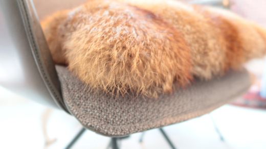 fuchsfelle-zu-kissen-auf-stuhl